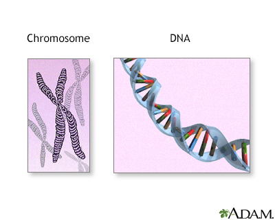 a study on xeroderma pigmentosum xp and the cause of the recessive disorder Xeroderma pigmentosum causes xp is an autosomal recessive inherited disorder the disorder is inherited from both your mother and father at the same time. a study on xeroderma pigmentosum xp and the cause of the recessive disorder Xeroderma pigmentosum causes xp is an autosomal recessive inherited disorder the disorder is inherited from both your mother and father at the same time.